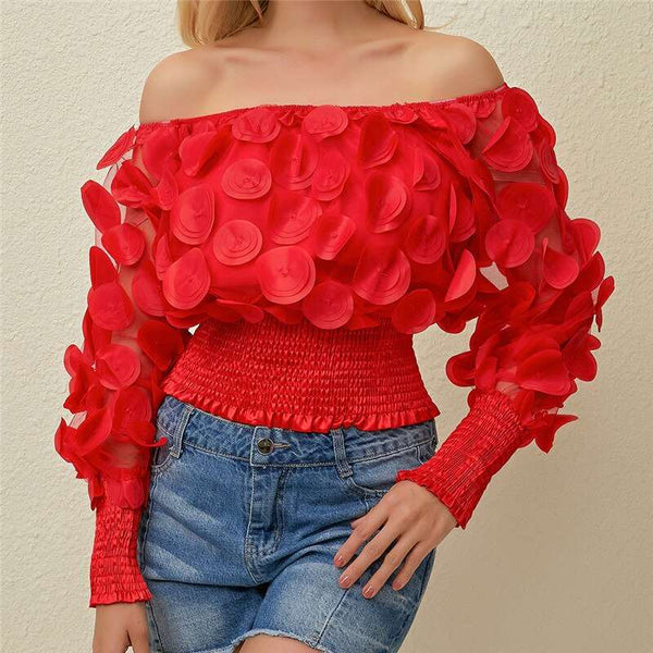 Blusa Solta Ombro a Ombro Manga Longa Bufante