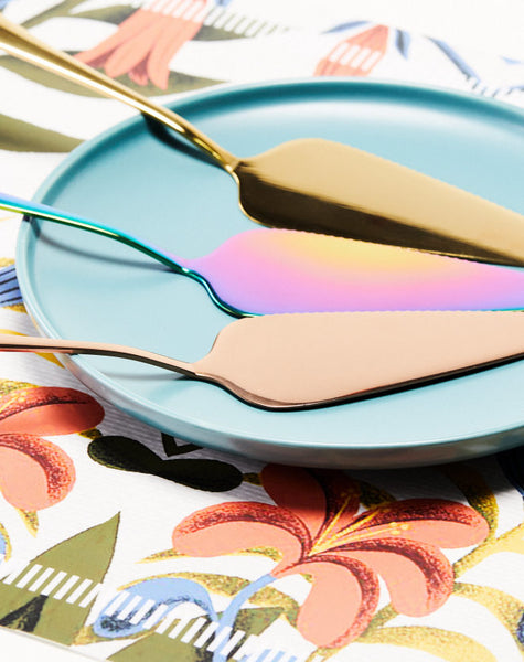 Stainless Steel Cake Serving Spatula